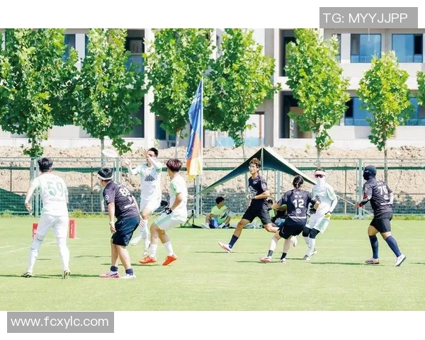 重庆飞盘队荣登全国飞盘战术排行榜第七位展现强劲实力与团队协作