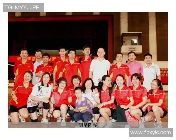 重庆羽毛球队配合策略深度解析与其他球队的对比研究