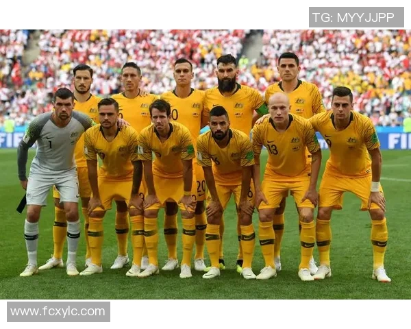 亚美尼亚与波兰足球对决深度分析及比赛前瞻