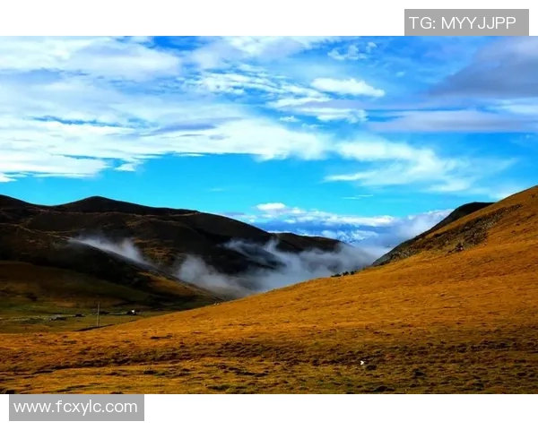 何思雨的成长之路与人生哲学探索:从校园到职场的心灵旅程 何思雨的成长之路与人生哲学探索:从校园到职场的心灵旅程