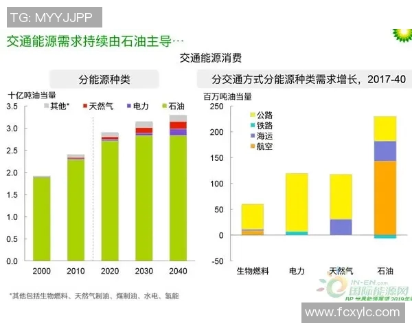 深入探讨vs2010指数对软件开发效率与质量的影响及其未来发展趋势分析