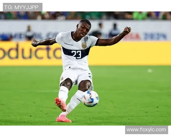 美国与厄瓜多尔友谊赛精彩对决球迷期待两队精彩表现