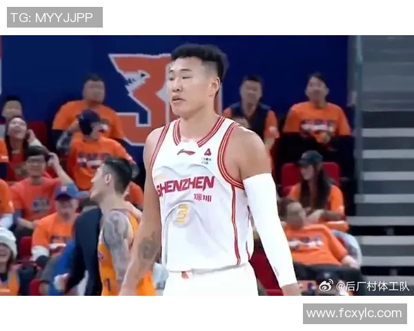 贺希宁：从青年才俊到篮球明星的成长之路与奋斗历程