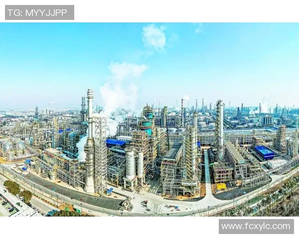 重庆飞盘队实力对比深度解析与其他队伍的竞争优势分析 重庆飞盘队实力对比深度解析与其他队伍的竞争优势分析